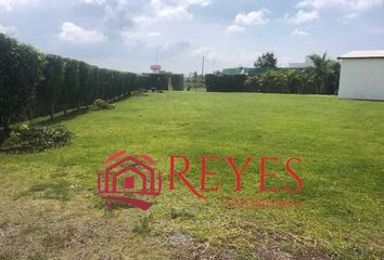 Lote de Terreno en  Oaxtepec Centro, Yautepec De Zaragoza