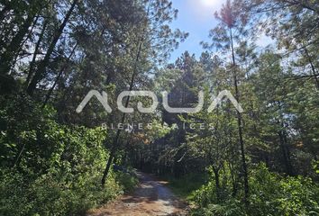 Lote de Terreno en  51248, Valle De Bravo, México, Mex