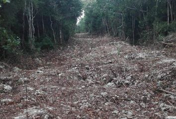 Lote de Terreno en  La Veleta, Tulum