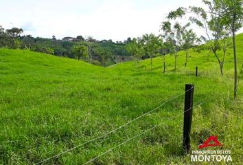 Lote de Terreno en  Cerritos, Pereira