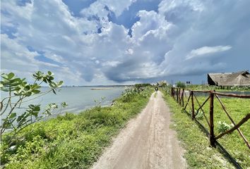 Lote de Terreno en  Castillogrande, Cartagena De Indias