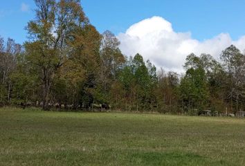 Parcela en  Panguipulli, Valdivia