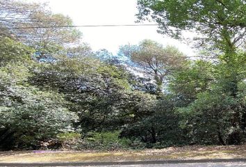 Terreno en  Santa Coloma De Cervello, Barcelona Provincia