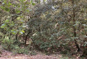 Terreno en  Santa Coloma De Cervello, Barcelona Provincia