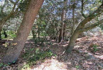 Terreno en  Santa Coloma De Cervello, Barcelona Provincia