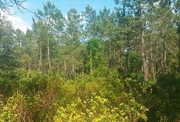 Terreno en  Cassa De La Selva, Girona Provincia