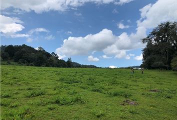 Lote de Terreno en  Avándaro, Valle De Bravo