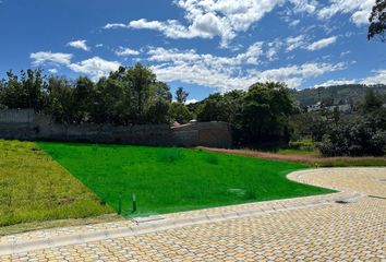 Terreno Comercial en  Tumbaco, Quito