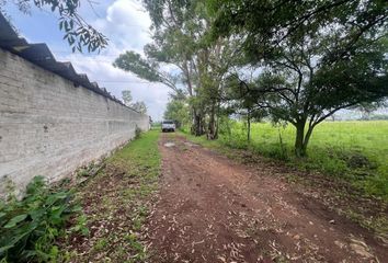 Rancho en  Calle Ignacio Allende, San Antonio El Viejo, Polotitlán, México, 54226, Mex