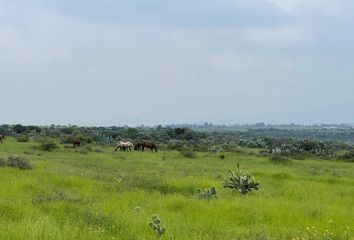 Rancho en  54226, Polotitlán, México, Mex