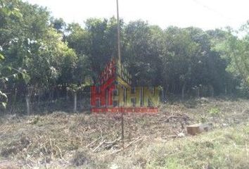 Lote de Terreno en  Carretera Ciudad Del Carmen-campeche, Isla Aguada, Carmen, Campeche, 24327, Mex