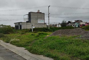 Lote de Terreno en  Calle Aldama, San Felipe Tlalmimilolpan, Toluca, México, 50254, Mex