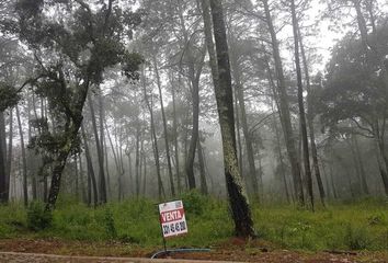 Lote de Terreno en  Calle Ayuntamiento, La Lagunita, Tapalpa, Jalisco, 49340, Mex