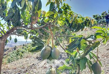 Terreno en  Almayate Bajo, Málaga Provincia