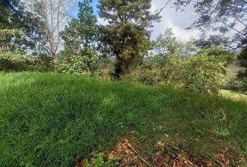 Lote de Terreno en  La Francia, Manizales