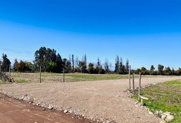 Parcela en  Yerbas Buenas, Linares