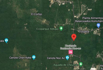 Lote de Terreno en  Carretera Cheumán - Sierra Papacal, Mérida, Yucatán, 97303, Mex