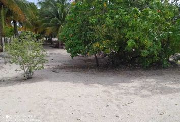 Lote de Terreno en  Calle 20 4, Telchac Puerto, Yucatán, 97407, Mex