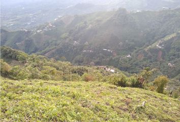 Lote de Terreno en  Centro, Pereira