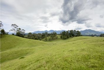 Lote de Terreno en  Rionegro Antioquía