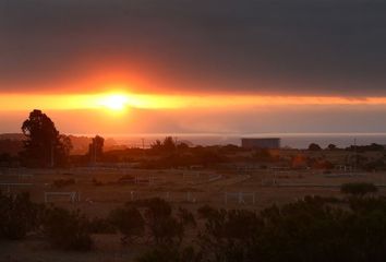 Parcela en  Algarrobo, San Antonio