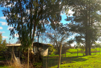 Parcela en  Parral, Linares