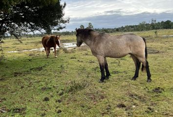 Parcela en  Puerto Montt, Llanquihue