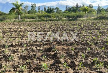 Lote de Terreno en  Tlalixtac De Cabrera, Oaxaca