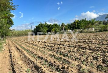 Lote de Terreno en  Tlalixtac De Cabrera, Oaxaca