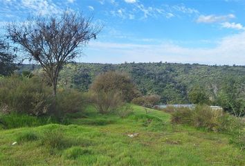 Parcela en  Litueche, Cardenal Caro