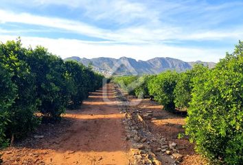 Terreno en  Benidoleig, Alicante Provincia