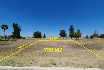 Lote de Terreno en  Privada Sevilla, Celaya, Guanajuato, 38113, Mex