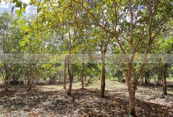 Lote de Terreno en  Bacalar, Bacalar, Bacalar, Quintana Roo