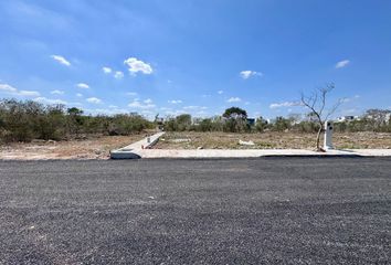 Lote de Terreno en  Calle 63, Dzitya, Mérida, Yucatán, 97302, Mex