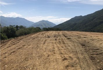 Lote de Terreno en  Concordia, Antioquia