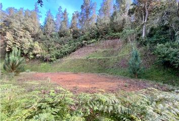 Lote de Terreno en  El Retiro, Antioquia