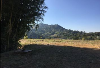 Lote de Terreno en  La Ceja, Antioquia