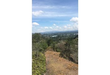 Lote de Terreno en  Rionegro Antioquía