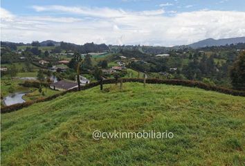 Lote de Terreno en  Montecarlo, Ibague