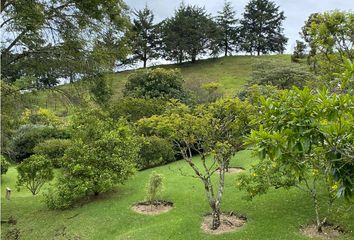 Lote de Terreno en  Abejorral, Antioquia