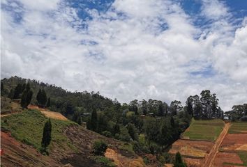 Lote de Terreno en  Guarne, Antioquia