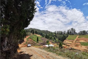 Lote de Terreno en  Guarne, Antioquia