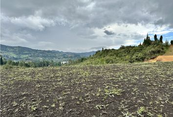 Lote de Terreno en  Guarne, Antioquia