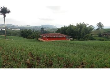 Villa-Quinta en  Kennedy, Pereira