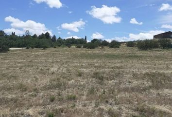 Terrenos en  General Cerri, Partido De Bahía Blanca