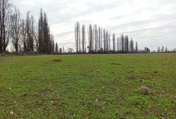 Parcela en  Yerbas Buenas, Linares