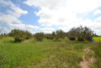 Chalet en  Sant Jaume D'enveja, Tarragona Provincia