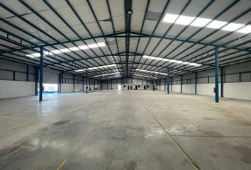 Nave en  Calle Galilea, Nueva Jerusalem, Heroica Matamoros, Matamoros, Tamaulipas, 87455, Mex