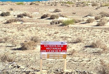 Lote de Terreno en  Calle Mariano Matamoros 4, Cerro La Ballena, Puerto Peñasco, Sonora, 83554, Mex