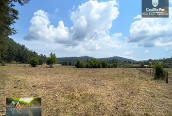 Lote de Terreno en  Gordo, Avándaro, Valle De Bravo, México, 51200, Mex